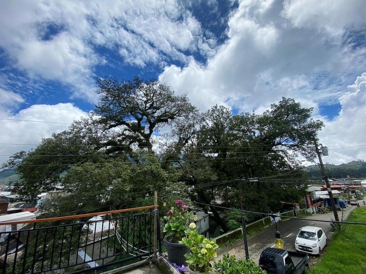 Wisma tamu Tama Dieng Diyeng